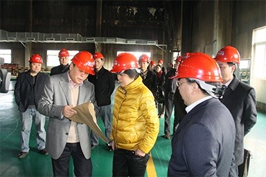 2012年1月31日，时任黄冈市委书记鲁俊携带市发改委等市级部门掌管人到公司调研