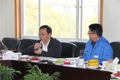 2013年3月18日，时任国度工信部节能司副司长杨铁生一行光临公司参观领导
