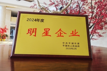 新春新景新形象 | 佰利乐纸业在平湖三干大会上喜摘荣誉！